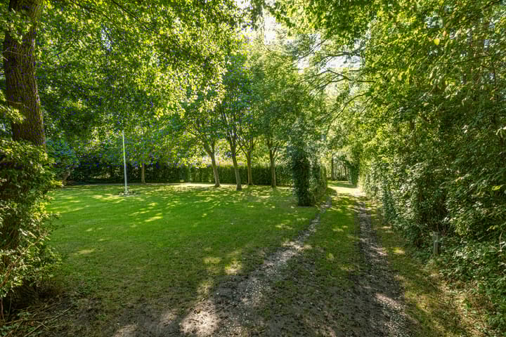 Foto 89 van Wierumerwei 12