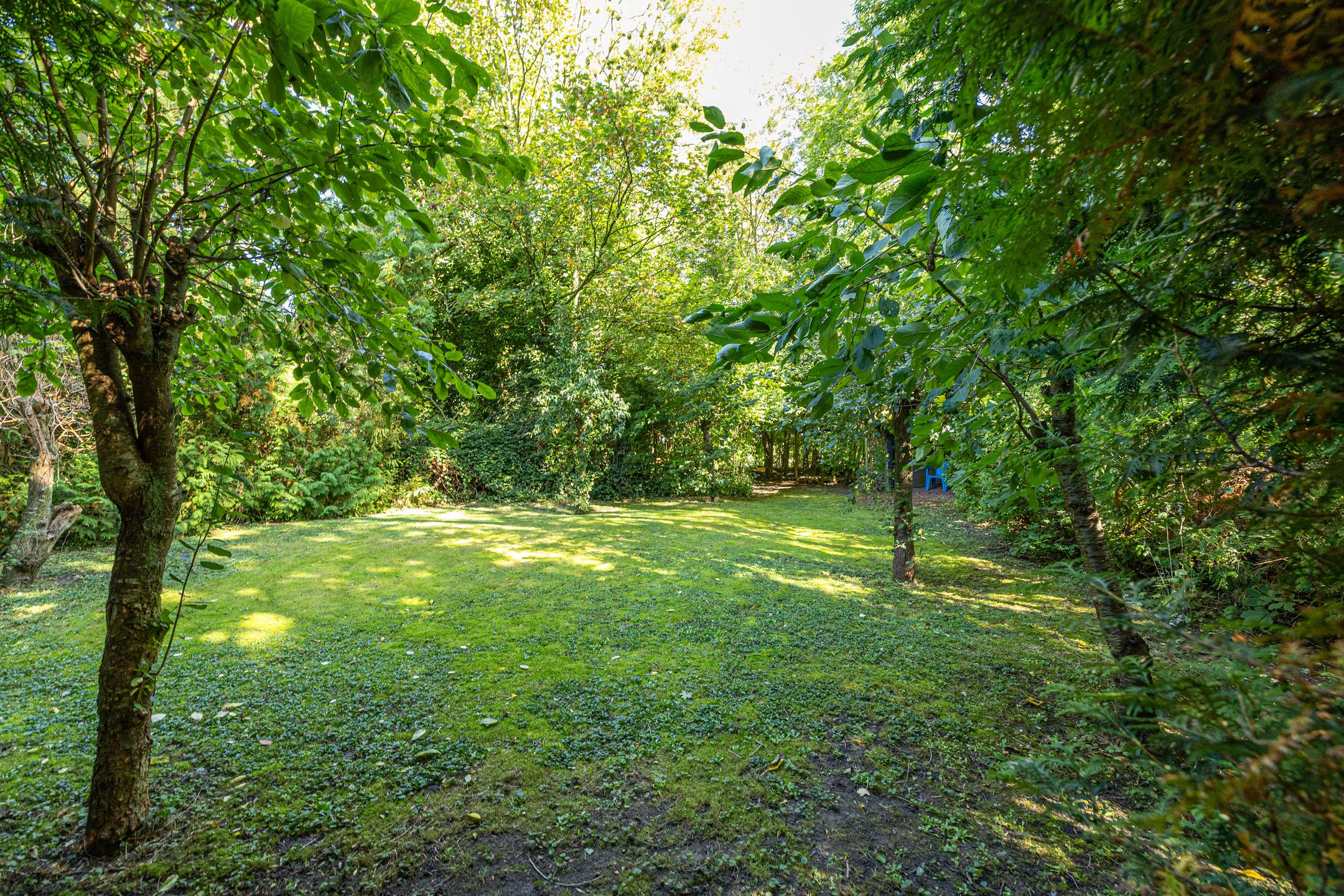 Foto 96 van Wierumerwei 12