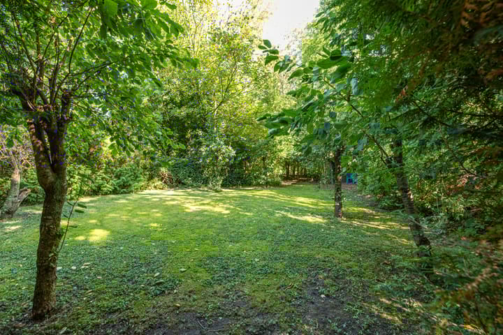 Foto 96 van Wierumerwei 12