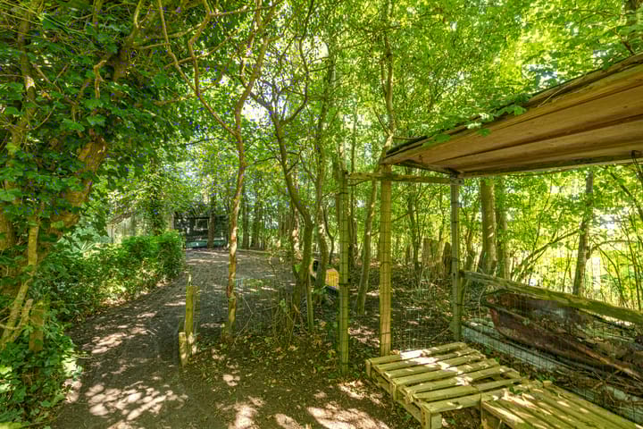 Foto 98 van Wierumerwei 12