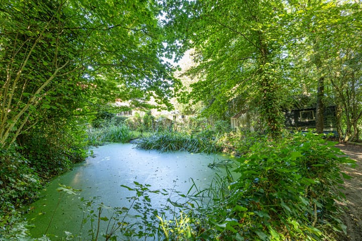 Foto 99 van Wierumerwei 12