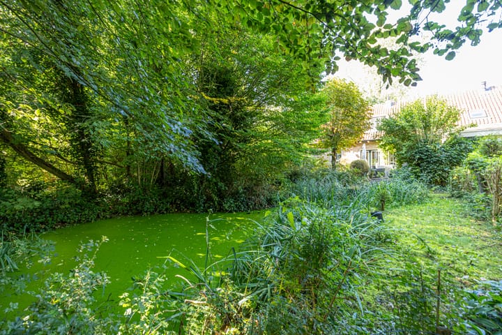 Foto 101 van Wierumerwei 12