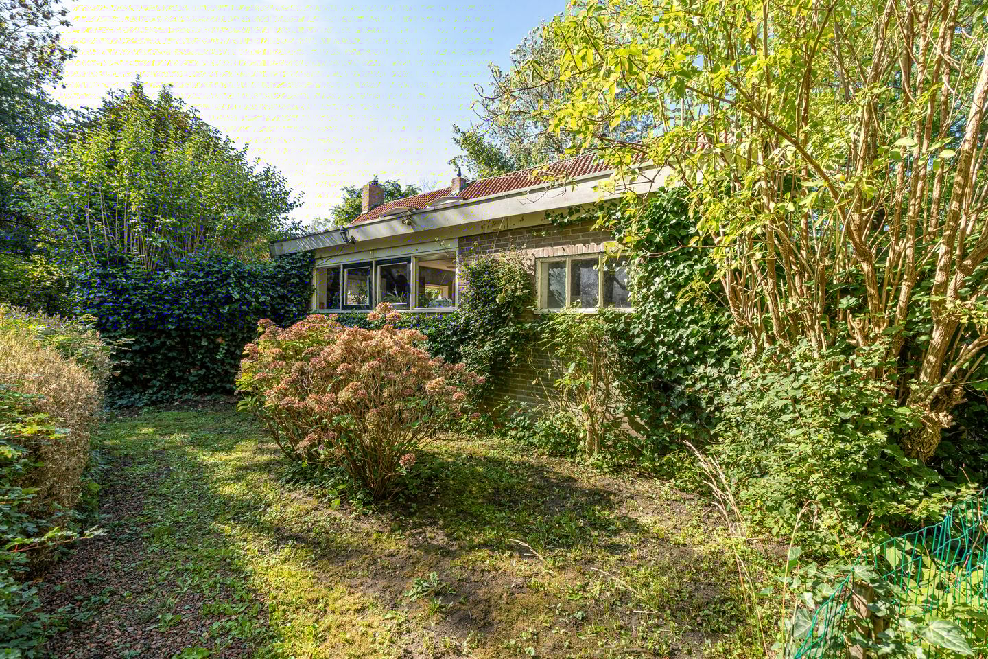 Foto 104 van Wierumerwei 12