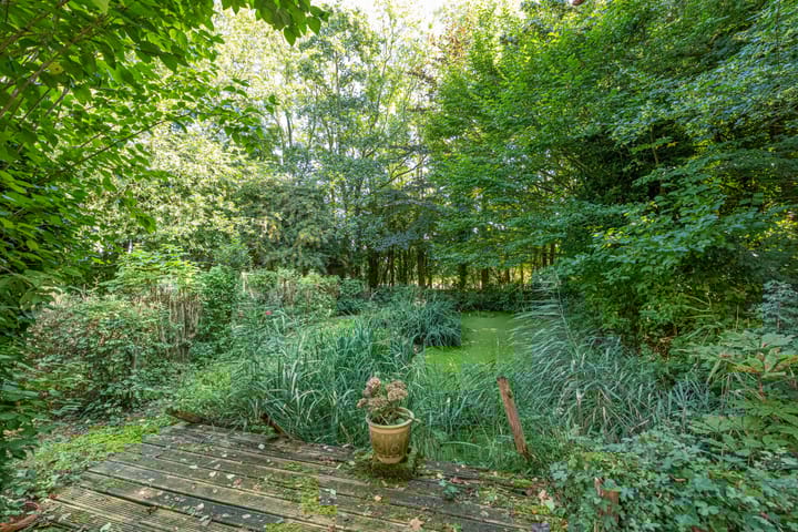 Foto 112 van Wierumerwei 12