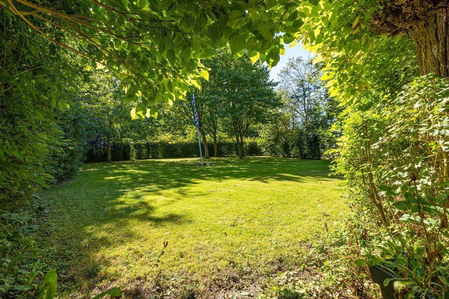 Foto 115 van Wierumerwei 12