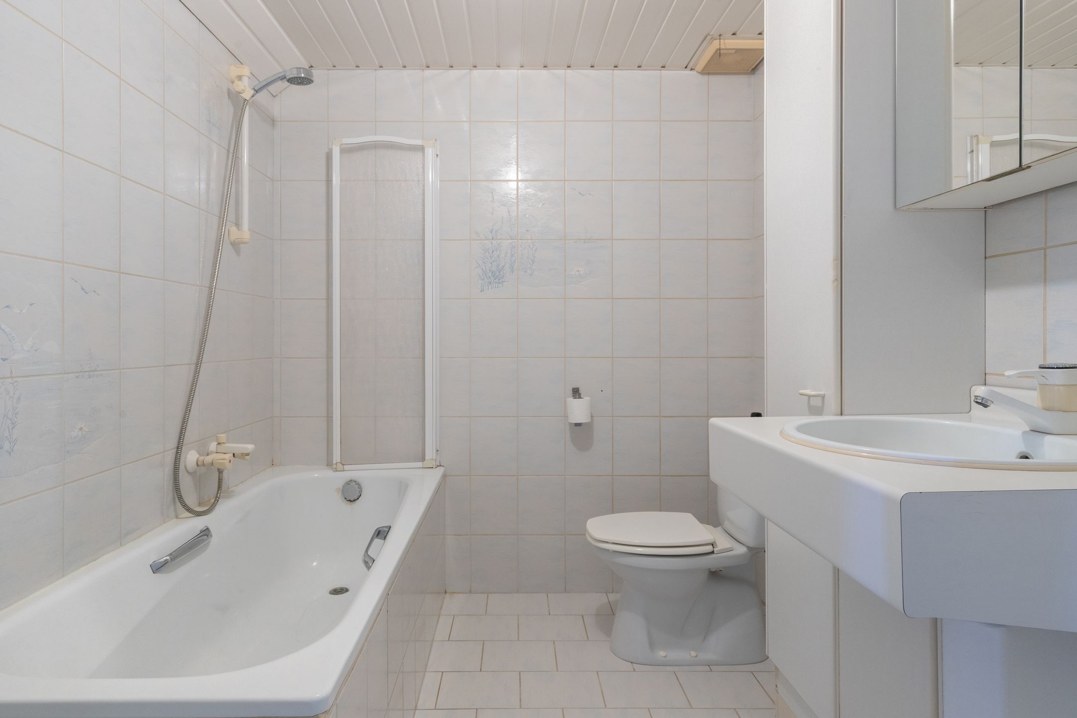 Foto 21 van Flintdijk 227