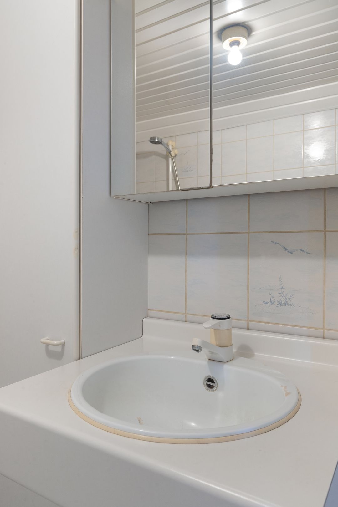 Foto 22 van Flintdijk 227