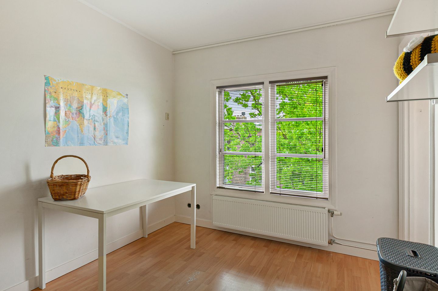 Foto 34 van Hugo de Grootstraat 123