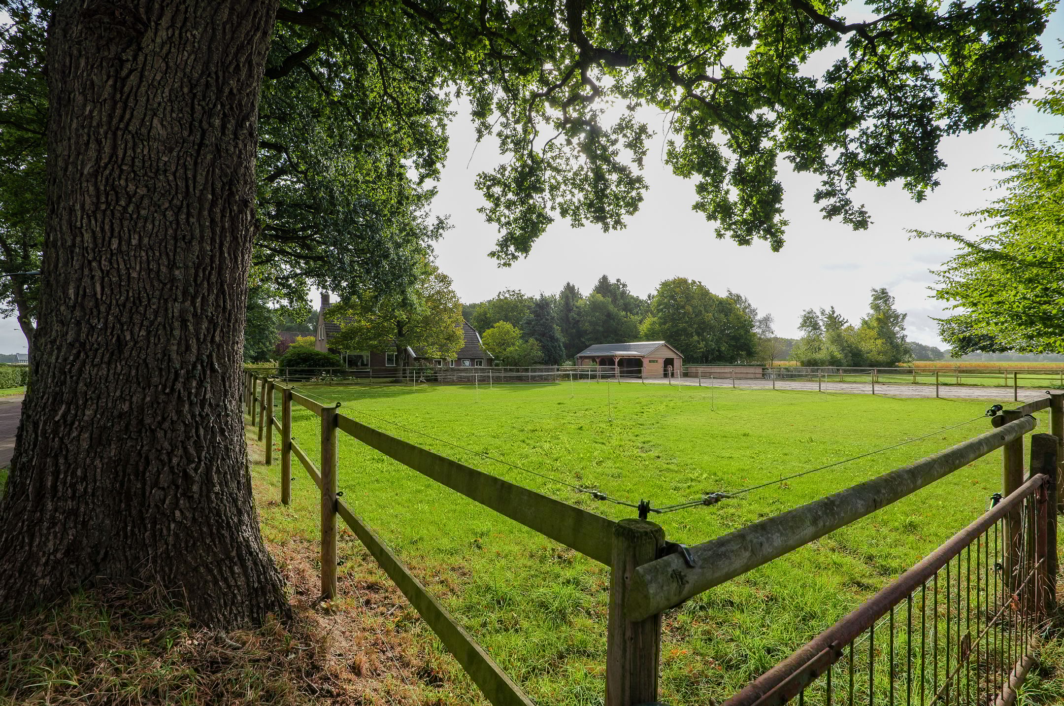 Photo 3 of Oosteinde 16