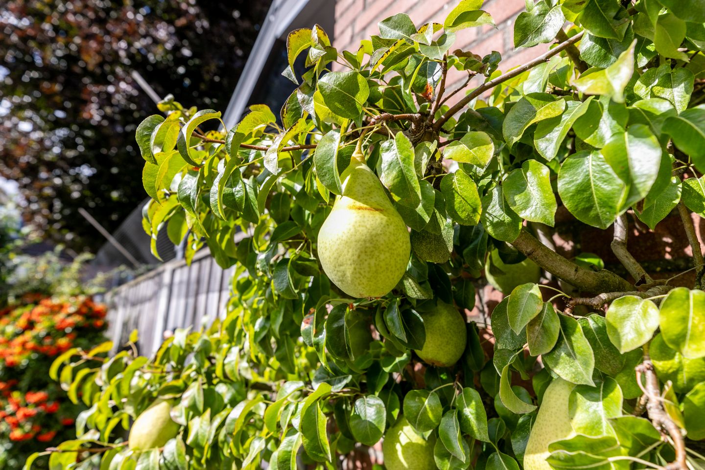 Foto 34 van De Savornin Lohmanlaan 4