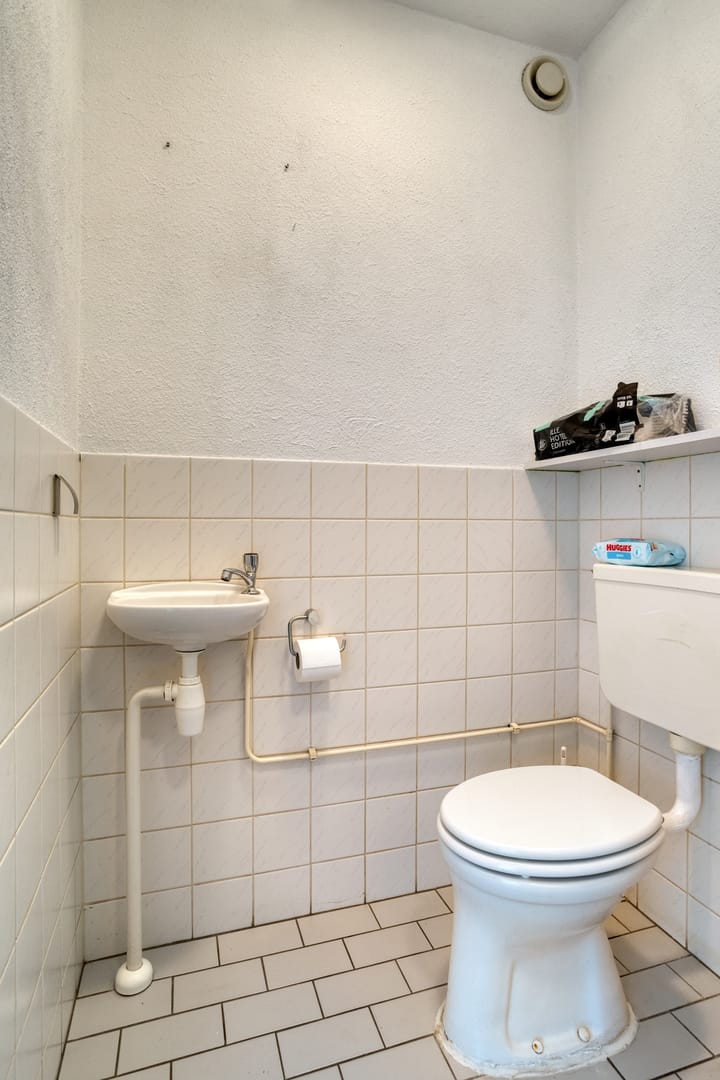 Foto 16 van Pauwoog 19