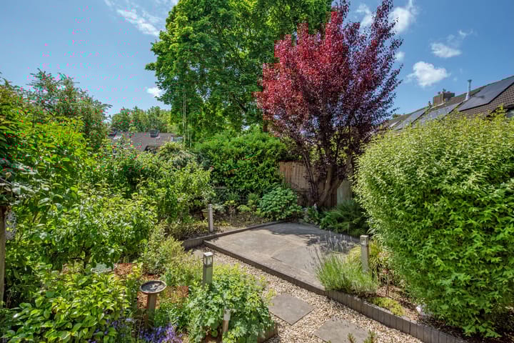 Photo 19 of Esmoreitschouw 5