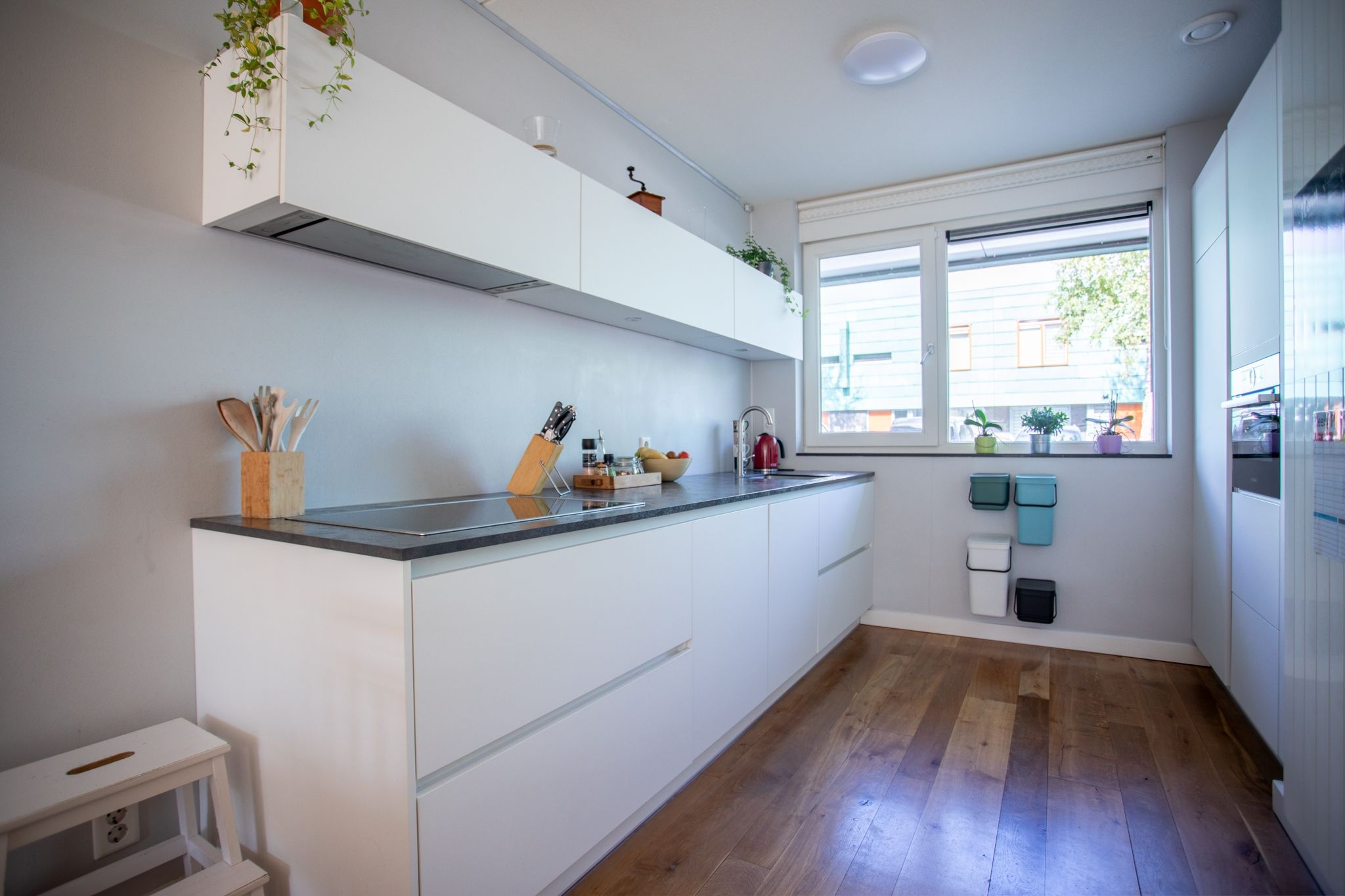 Photo 6 of Grasplant 36