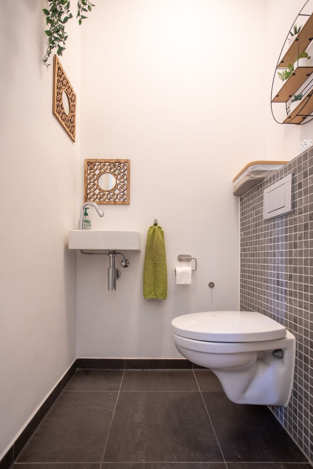 Photo 17 of Grasplant 36