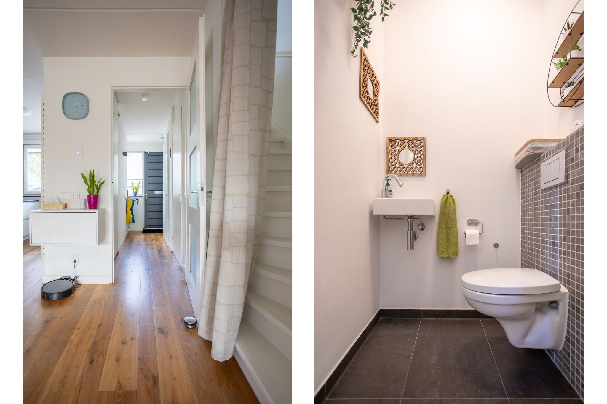 Photo 18 of Grasplant 36