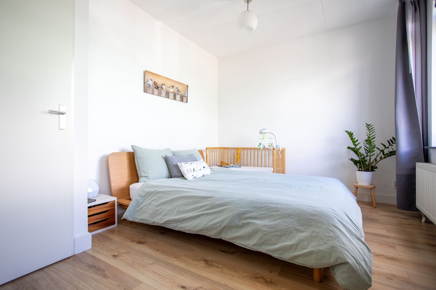 Photo 19 of Grasplant 36