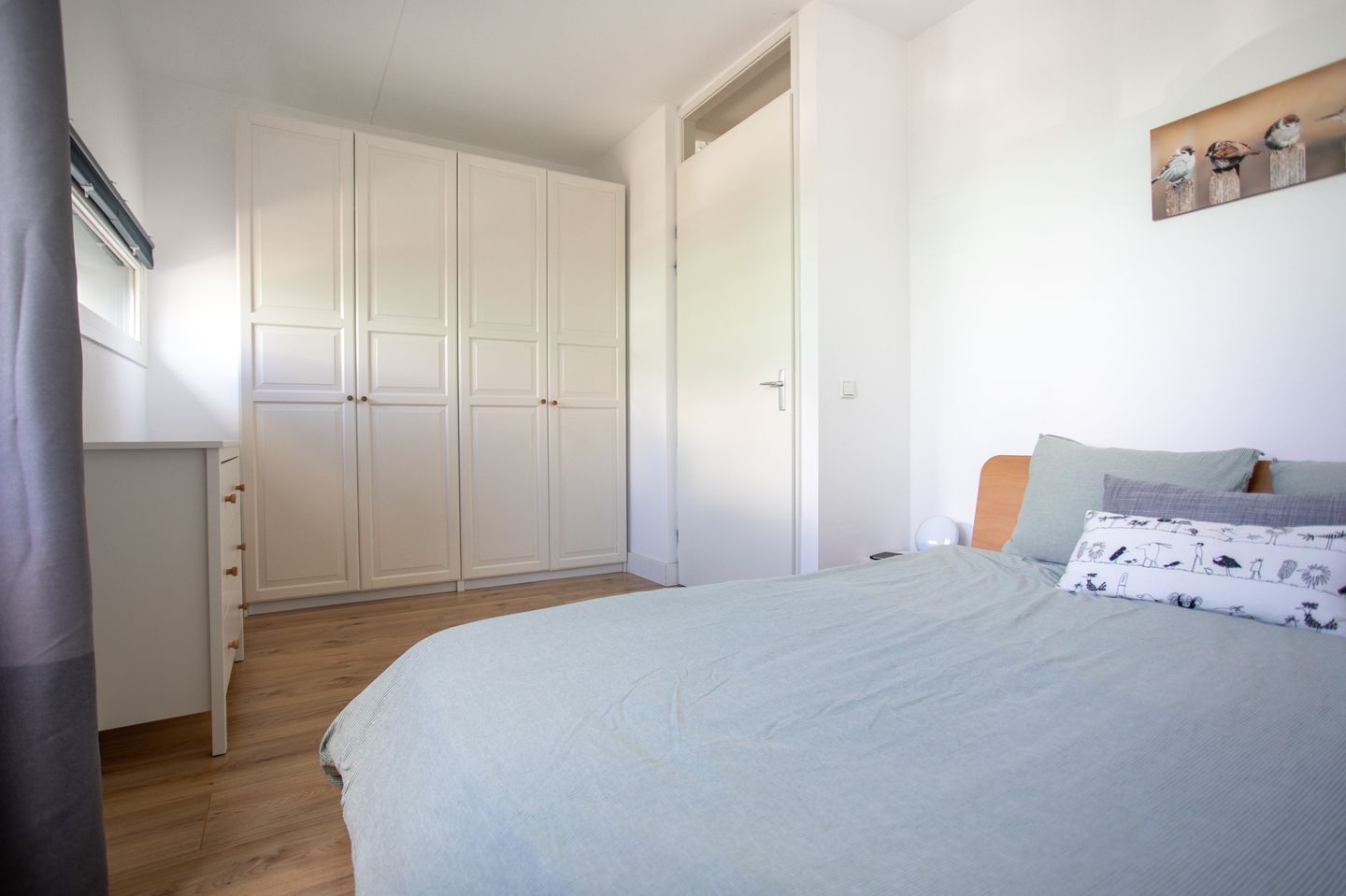 Photo 20 of Grasplant 36