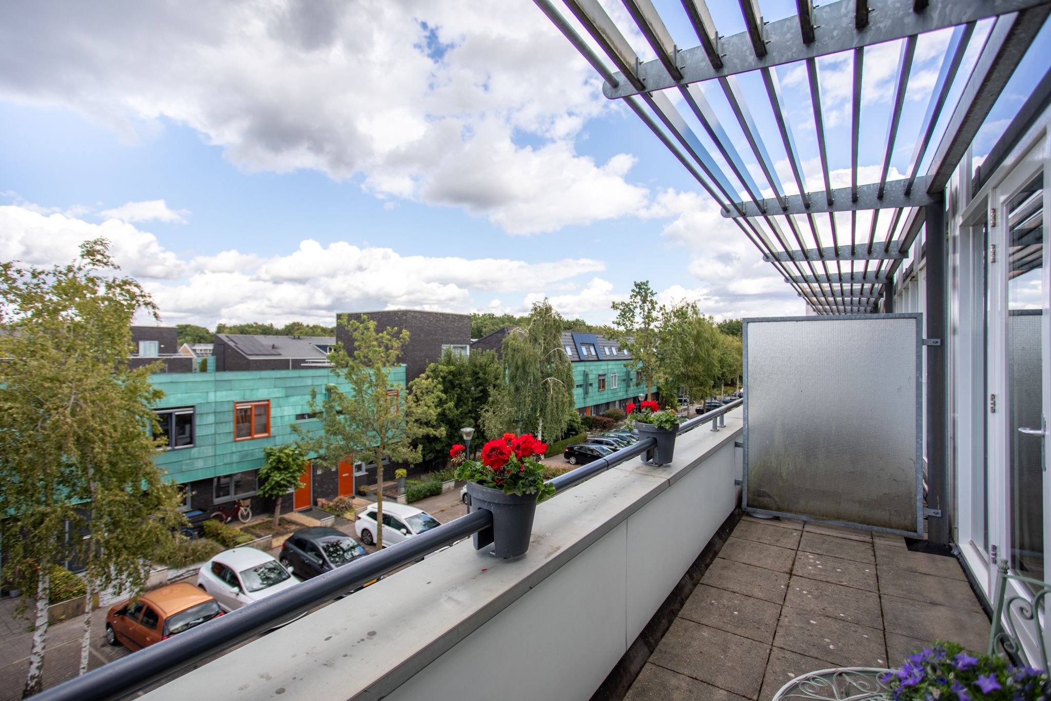 Photo 33 of Grasplant 36