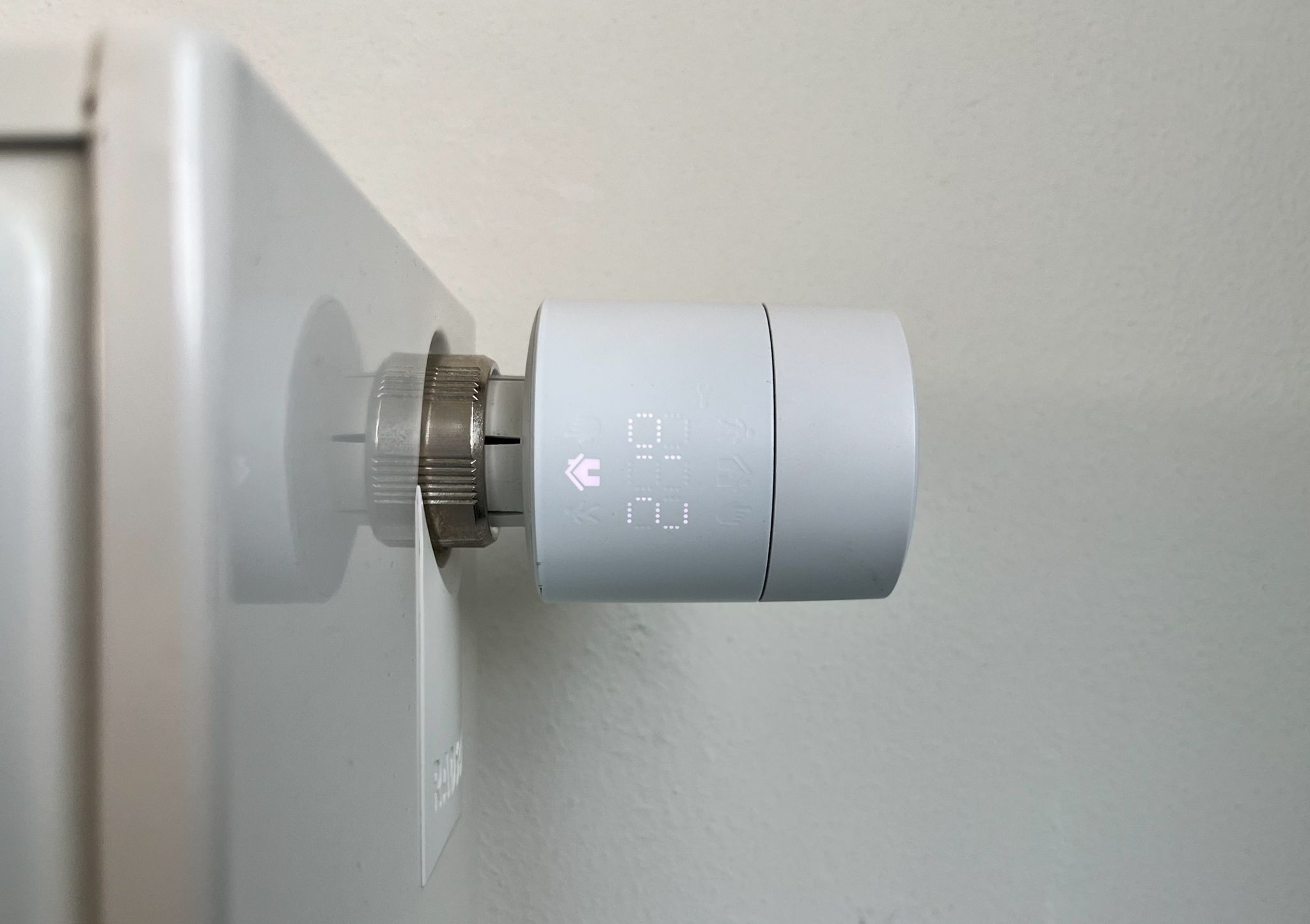 Photo 15 of Grasplant 36