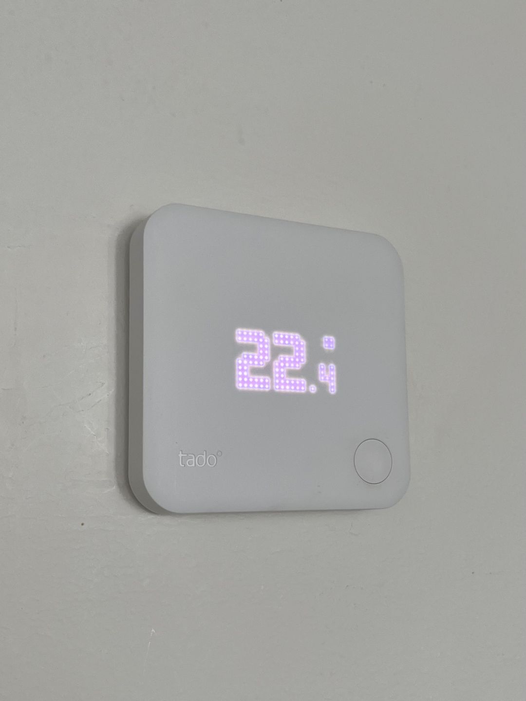 Photo 16 of Grasplant 36