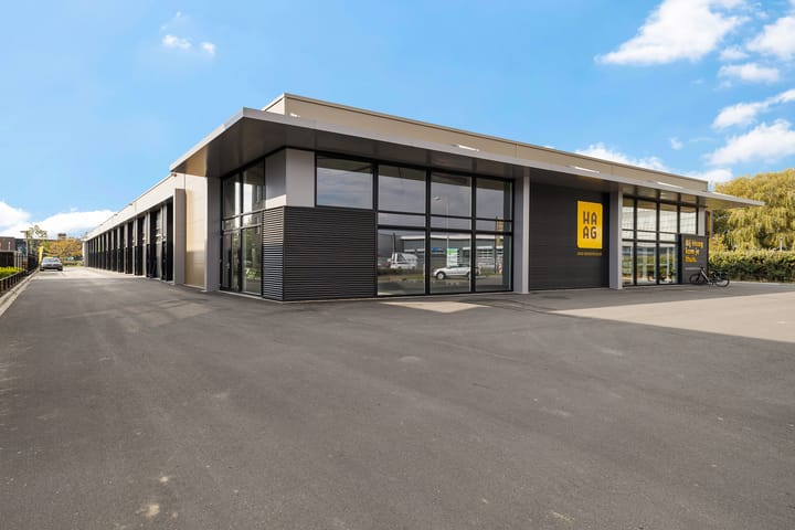 Alexander Cohenwei 8-A