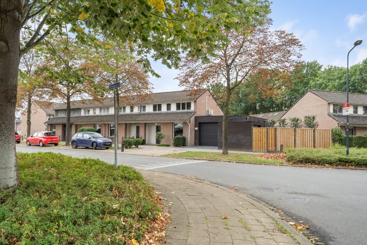 Foto 45 van Merodelaan 99