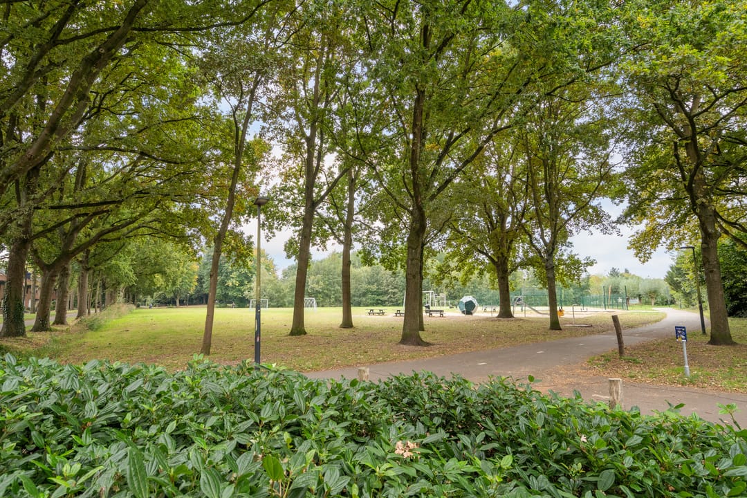 Foto 46 van Merodelaan 99