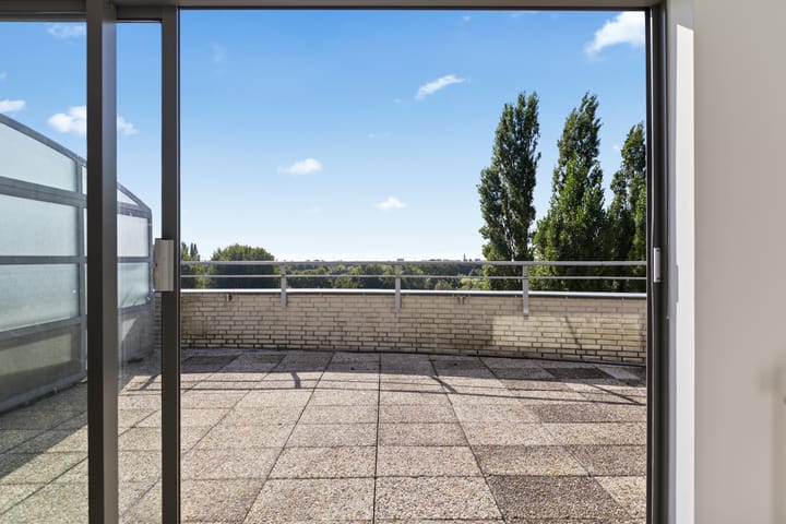 Photo 48 of Het Masker 148