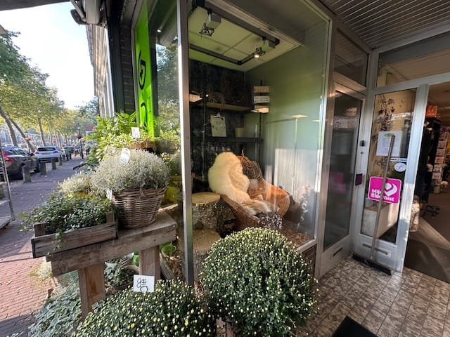 View photo 5 of Dorpsstraat 13