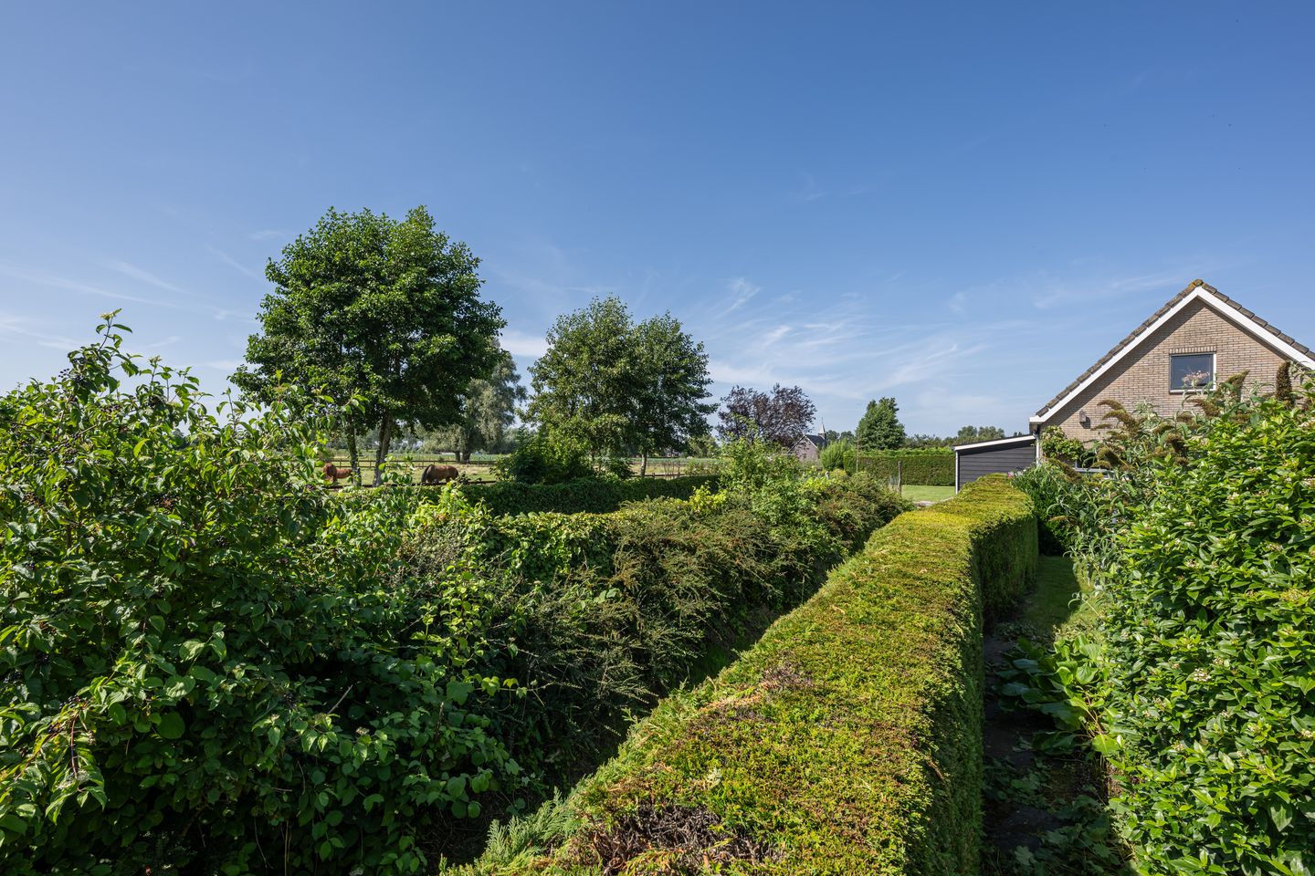 Foto 29 van Generaal Snijdersstraat 28