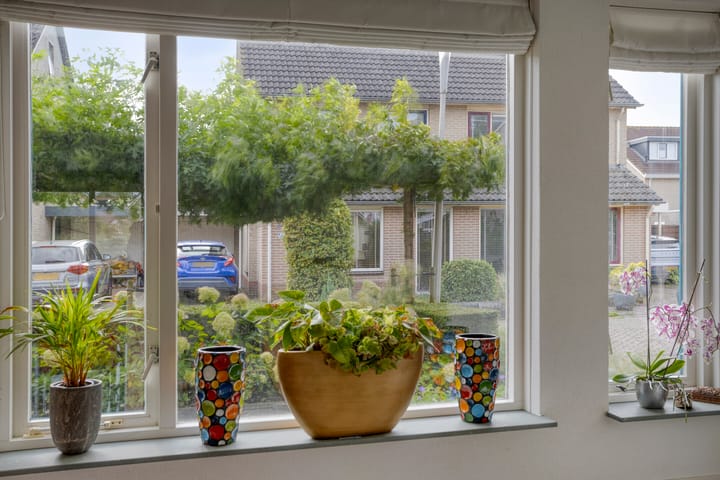 Foto 17 van Vliegersveld 6