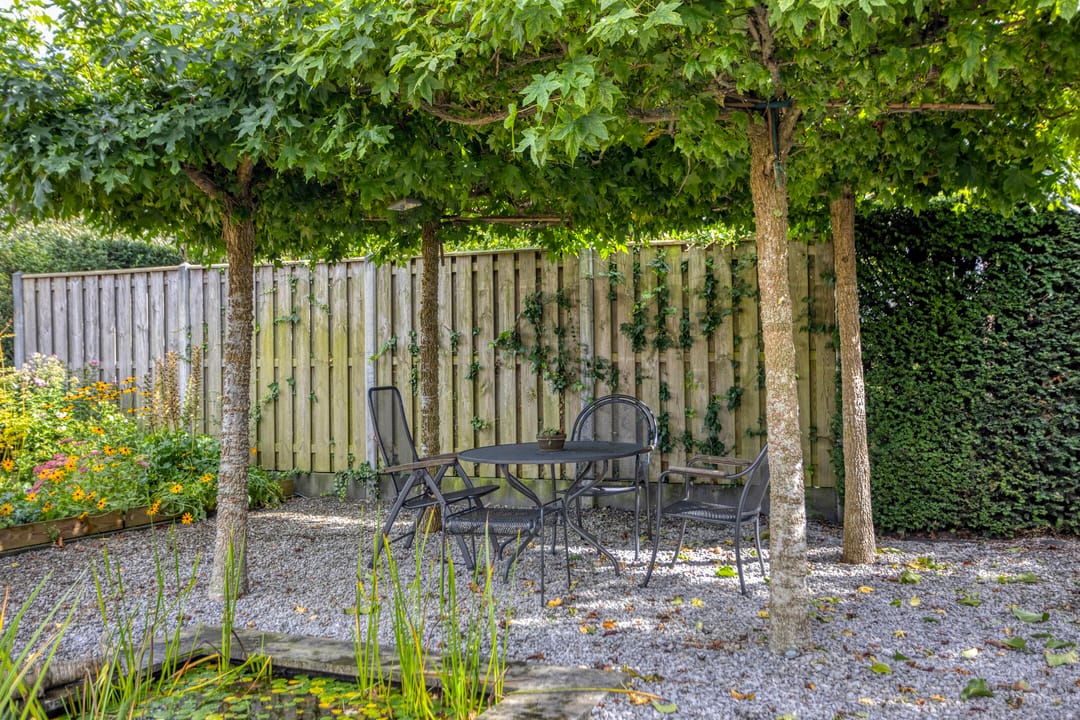 Photo 43 of Vliegersveld 6