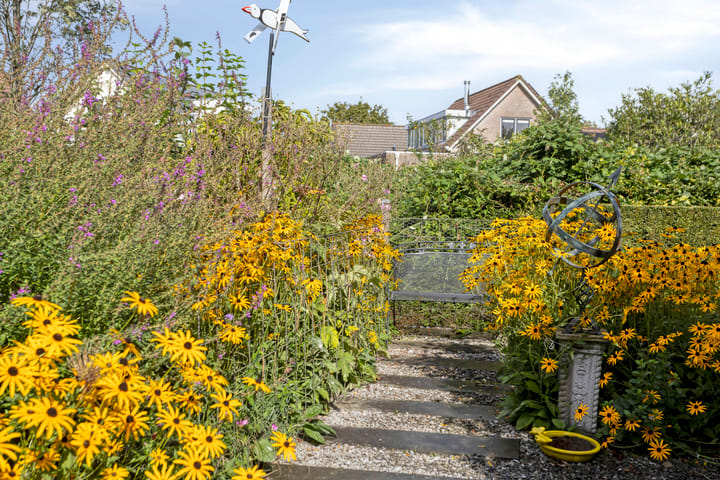 Foto 47 van Vliegersveld 6