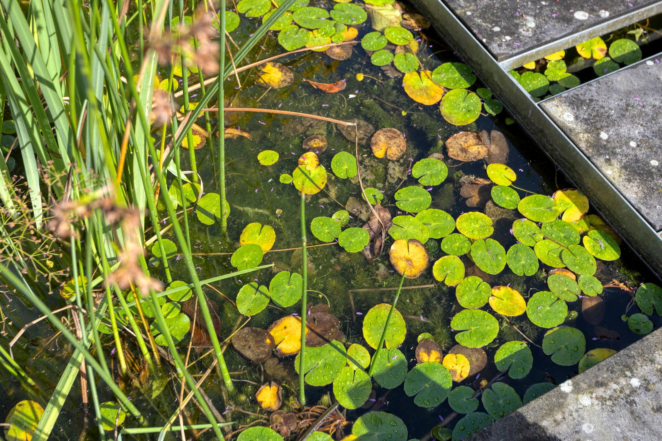 Photo 48 of Vliegersveld 6