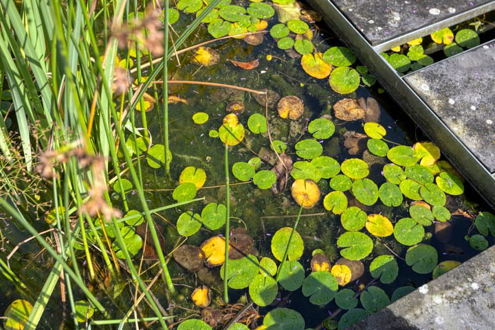 Foto 48 van Vliegersveld 6