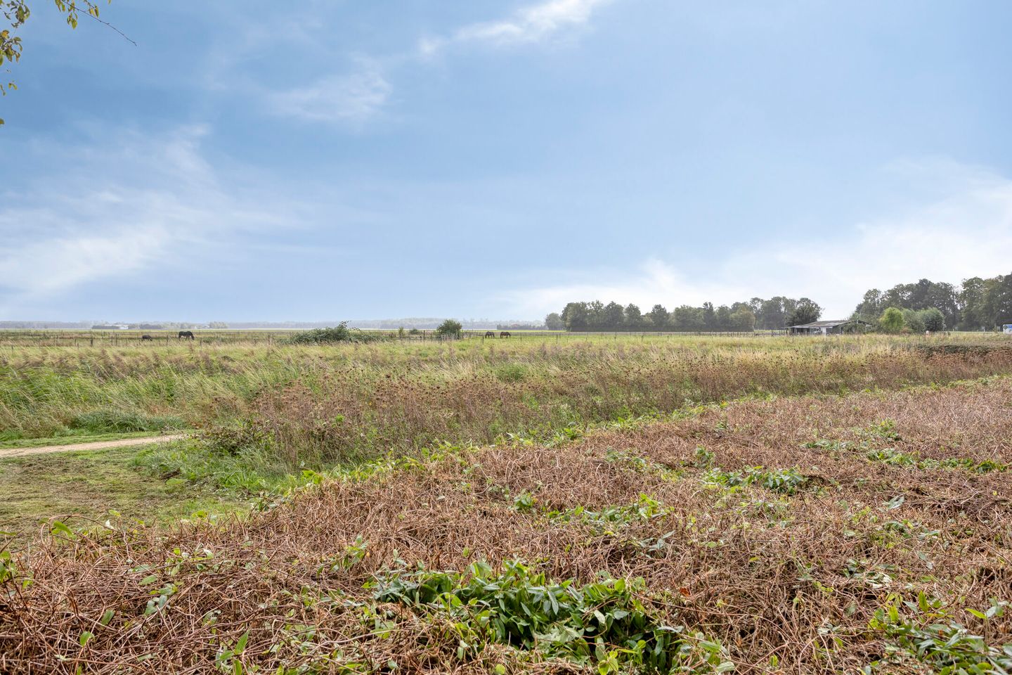 Photo 49 of Vliegersveld 6