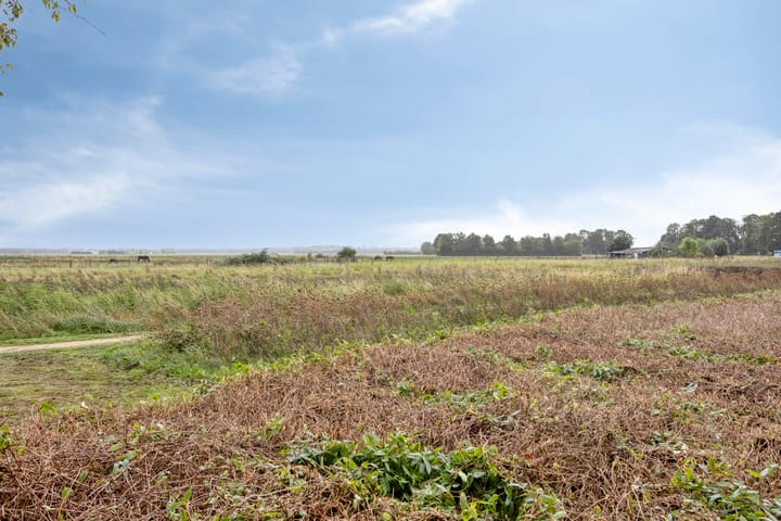 Foto 49 van Vliegersveld 6