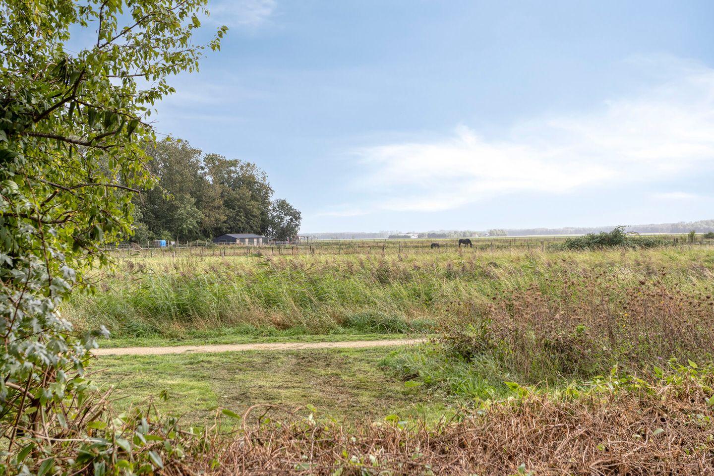 Photo 50 of Vliegersveld 6