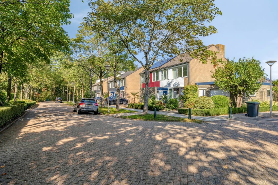 Foto 43 van Omloop 11