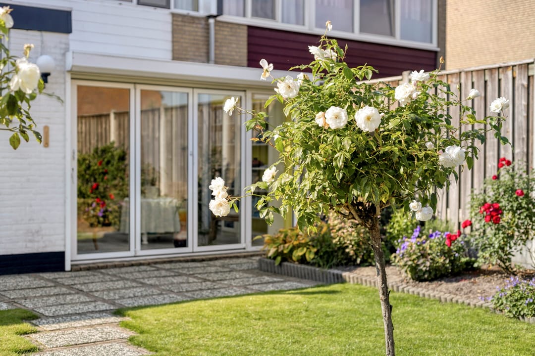 Foto 38 van Omloop 11