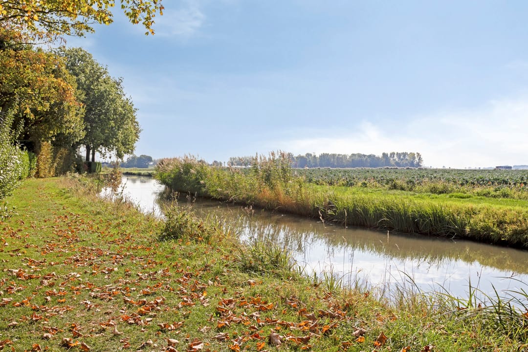 Foto 46 van Omloop 11