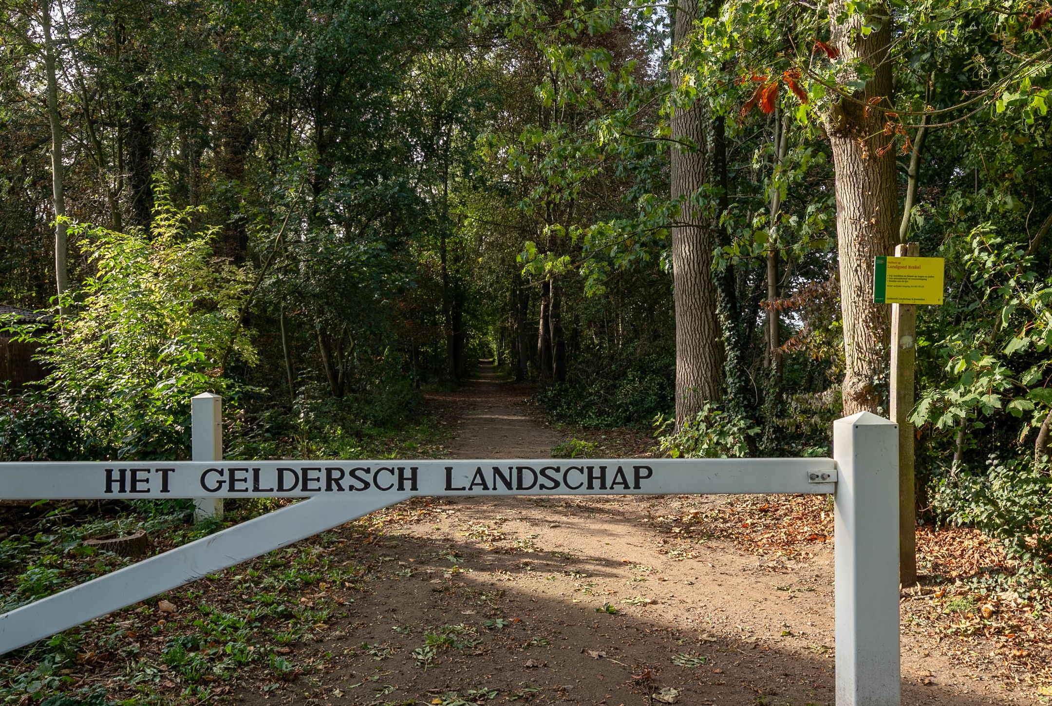 Foto 9 van Nieuwstraat 11