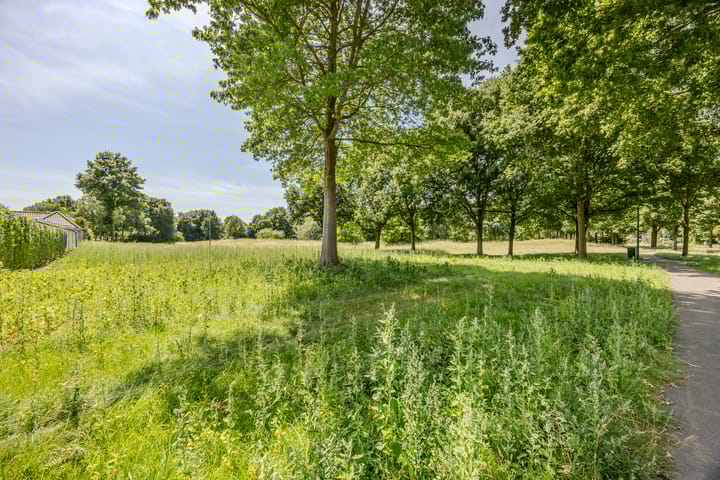 Foto 48 van Pater Berthierstraat 2