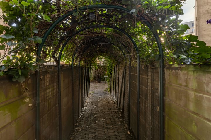 Foto 19 van Nicolaas Witsenkade 30-A