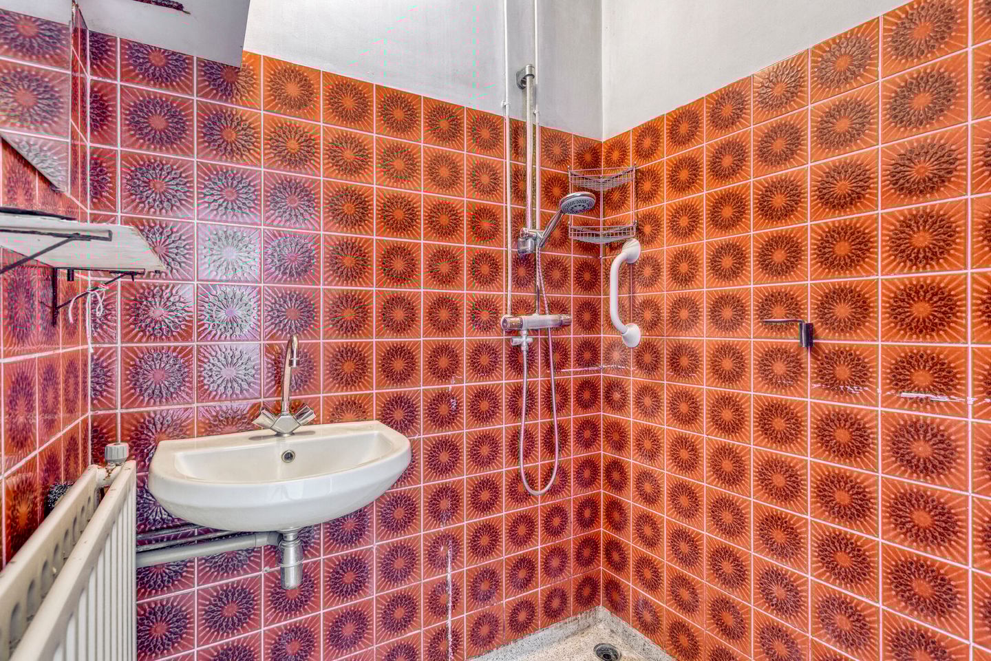 Foto 19 van Goejanverwelle 44