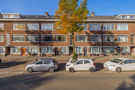 De Genestetlaan thumbnail