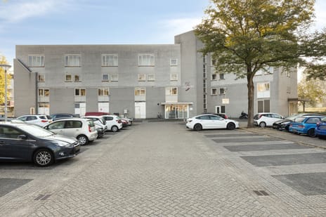 undefined main image