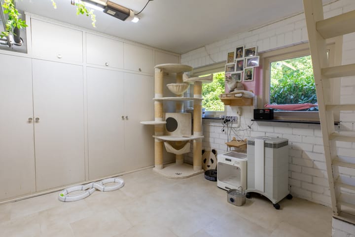 Photo 13 of Tongerloseweg 2