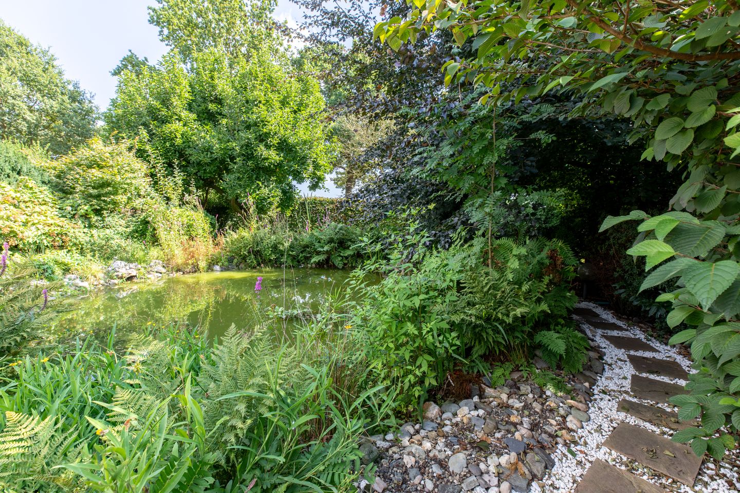 Photo 29 of Tongerloseweg 2