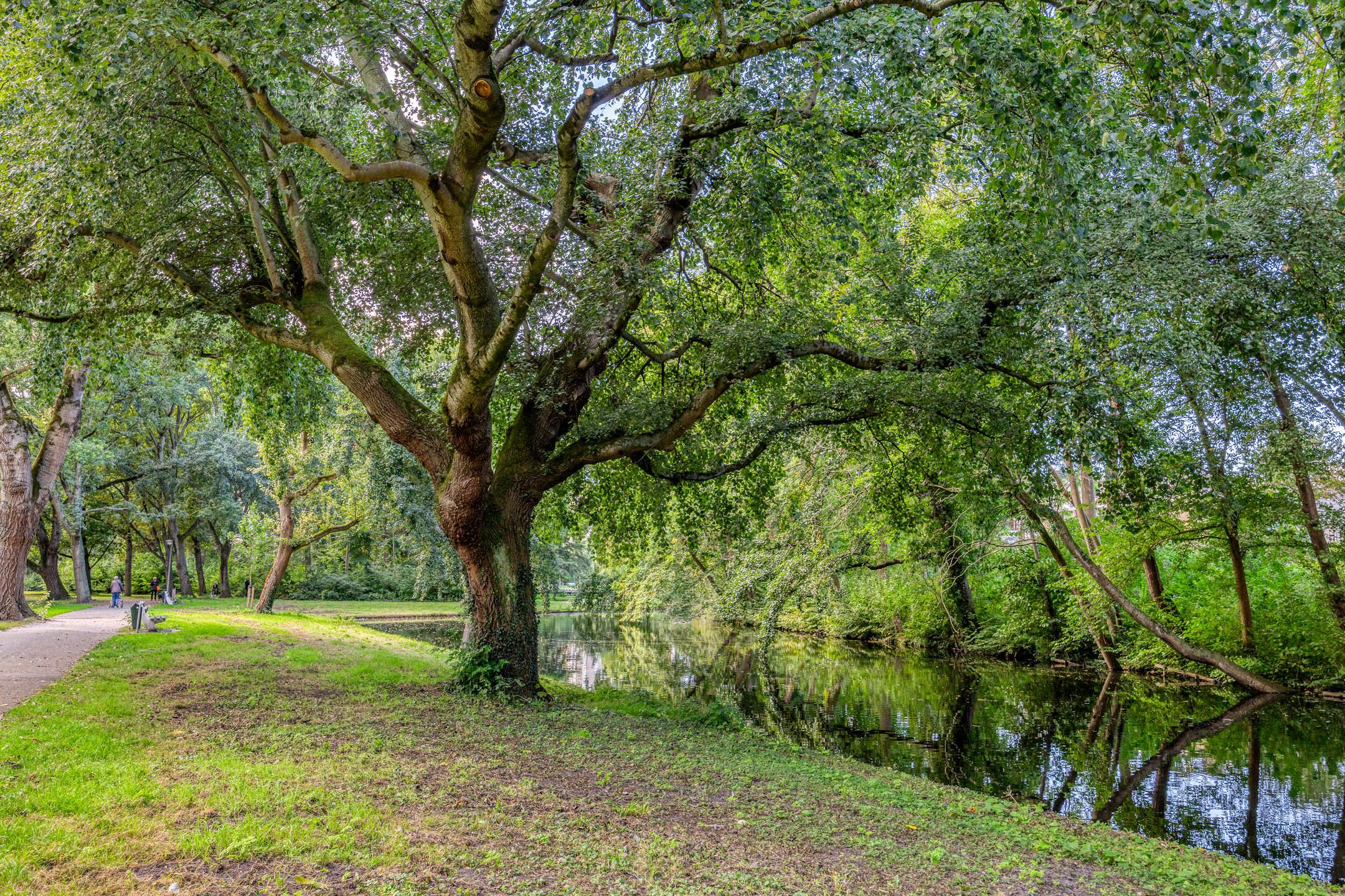 Foto 33 van Frans Halslaan 125